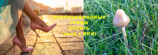 Альфа ПВП Алексеевка