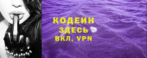 индика Няндома