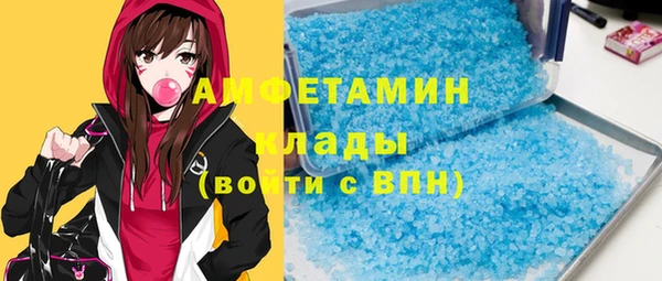 индика Няндома