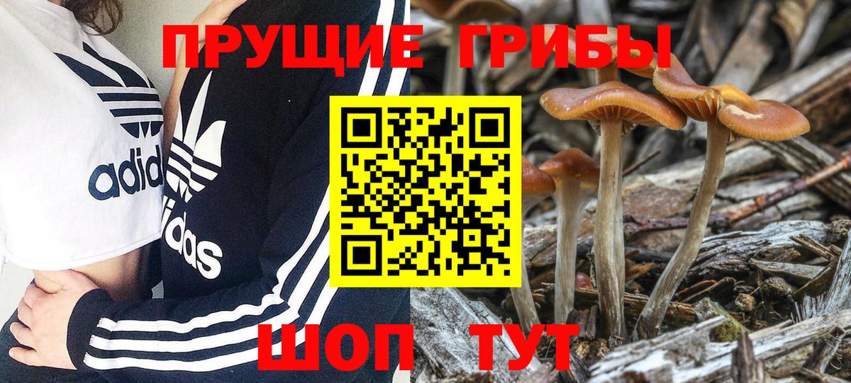 Пермь  Псилоцибиновые грибы Psilocybe  Галлюциногенные грибы мицелий  Вход с VPN 