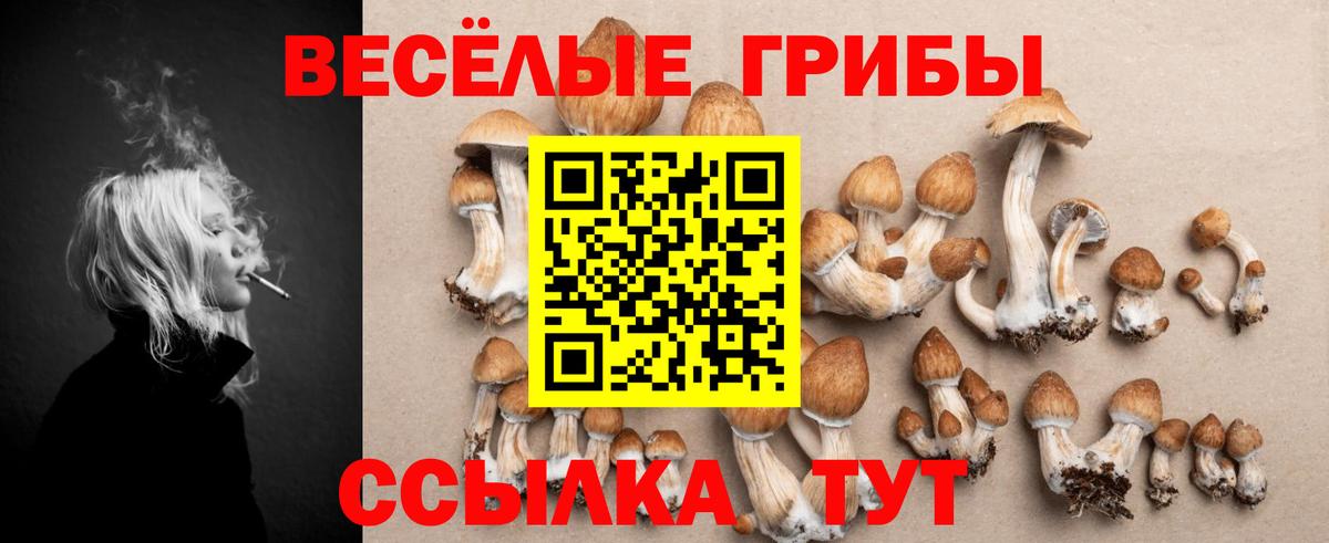 Псилоцибиновые грибы MAGIC MUSHROOMS Пермь